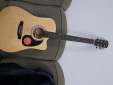 NEW Guitar