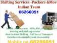Professional Packers And Movers 66266051 Indian Team
