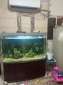 Aquarium for sale