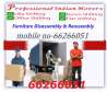 Professional Packers And Movers 66266051 Indian Team